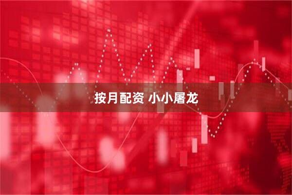按月配资 小小屠龙